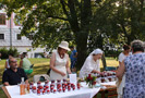 Krasiczyn 2016